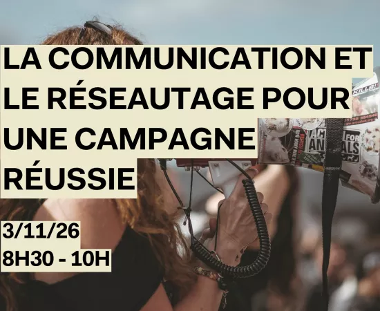 websession financité 6